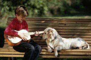 6780_dog_music