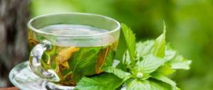 6959_20130822100915herbal-tea