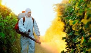 7393_large_article_worker_pesticide