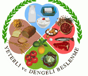 7662_saglik_ve_besin