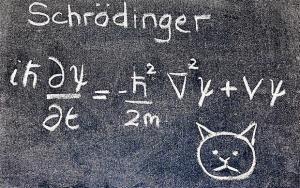 7683_schrodinger