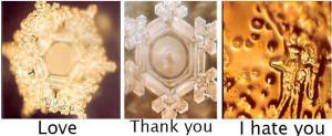 7717_water_crystals