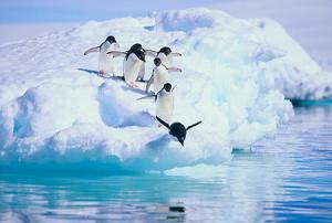 7745_cold-country-antarctica