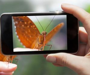 Akıllı Telefon Kameralarıyla Yapılabilecek En Kullanışlı Aktiviteler