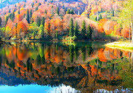 8007_artvin_karagol