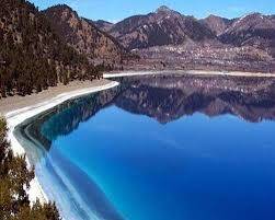 8007_salda