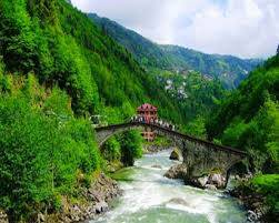 8026_ayder_yaylasi