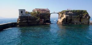 8168_gaiola