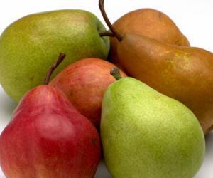 8450_pears
