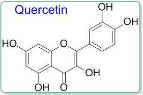 8450_quercetin_1