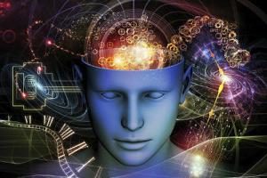 8610_1125brain