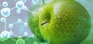 8737_nano_gidalar2