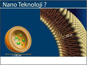 8737_nano_gidalar5