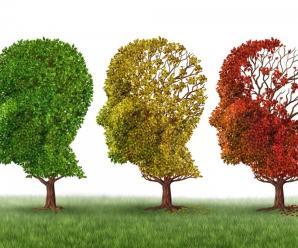 Herhangi Bir Yakını Alzheimer Olanlara Öneriler