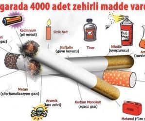 Sigaranın İnsan Sağlığına Verdiği Zararlar
