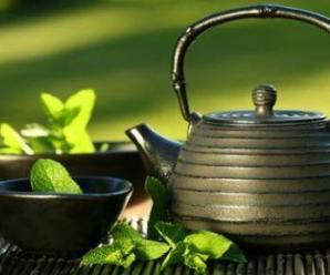 Çay Ağacının İnsan Vücudu Üzerindeki Etkileri