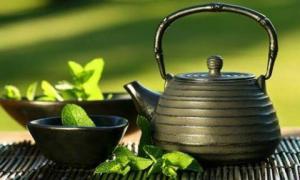 Çay Ağacının İnsan Vücudu Üzerindeki Etkileri