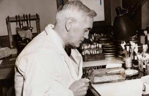 Mucizevi İlaç Penisilinin Tarihçesi