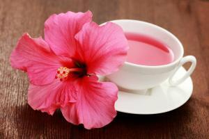 Latin Güzeli Hibiskus Nedir, Ne  İçin Kullanılır?
