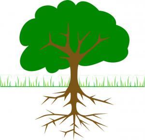 Kök Neden Analizi (Root Cause Analysis)