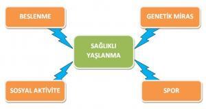 Sağlıklı Yaşlanmak İçin Tüketilmesi Gereken 10 Besin