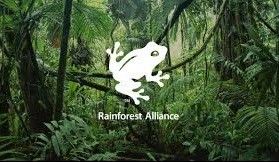 Rainforrest Alliance Örgütü Nedir?
