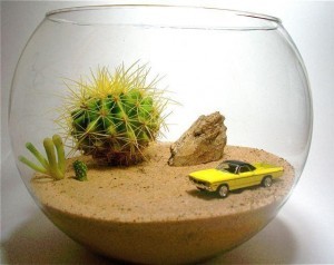 Minik Bir Hobi Bahçesi; Terrarium Evde Nasıl Yapılır?