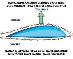 Kuşların Uçuş Prensibi