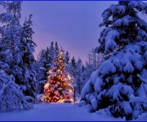 Noel Ağacı Bir Türk Geleneği mi?