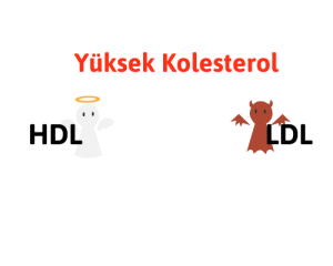 Yüksek Kolesterol ve Neden Olduğu Sağlık Sorunları