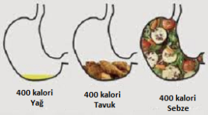 Volümetrik Diyet