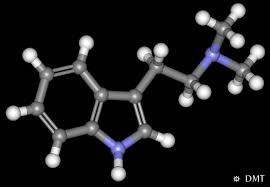 Beyinde Bulunan Minik Kozalak; DMT Hormonu
