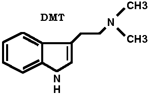 Beyinde Bulunan Minik Kozalak; DMT Hormonu