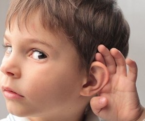 İnsan Kulağıyla İşitilmeyen Sesler ve Bu Seslerin Kullanım Alanları