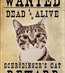 Çığır Açan Düşünce Deneyi: Schrödinger'in Kedisi