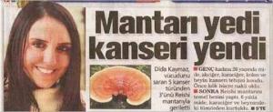 Reıshi Mantarı : Kanser Hastalığı Ve Ebola Virüsünün En Büyük Düşmanı