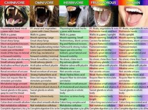 Veganların Kafası Çalışmaz Mı ?