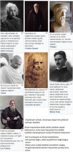 Veganların Kafası Çalışmaz Mı ?