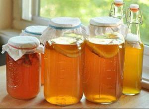 Kombucha Mantarı Çayı Nedir?Nasıl Hazırlanır ?