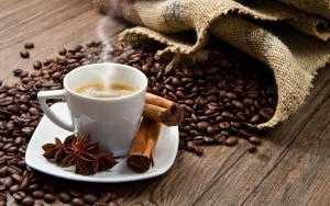 Dünyanın En Pahalı Kahvesi: Kopi Luwak