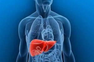 Hepatit Diyeti Nedir?