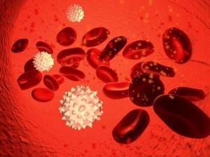 Hepatit Diyeti Nedir?