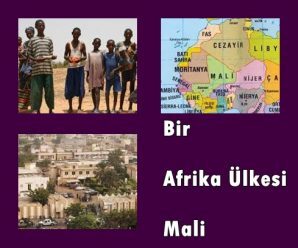 Bir Afrika Ülkesi: Mali
