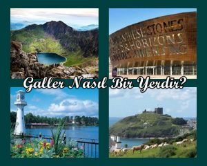 Galler Nasıl Bir Yerdir?
