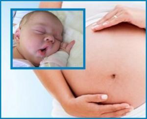 Gebelikte Salgılanan Hormonlar