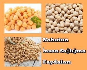 Nohutun Faydaları Ve Zararları