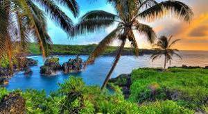 Pasifik Cenneti : Honolulu