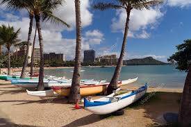 Pasifik Cenneti : Honolulu