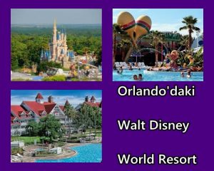 Orlando'daki Walt Disney World Resort