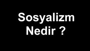 Ekonomide Sosyalizm Nedir?